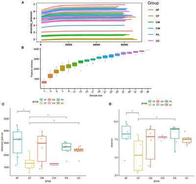 Analysis of Cow-Calf Microbiome Transfer Routes and Microbiome Diversity in the Newborn Holstein Dairy Calf Hindgut